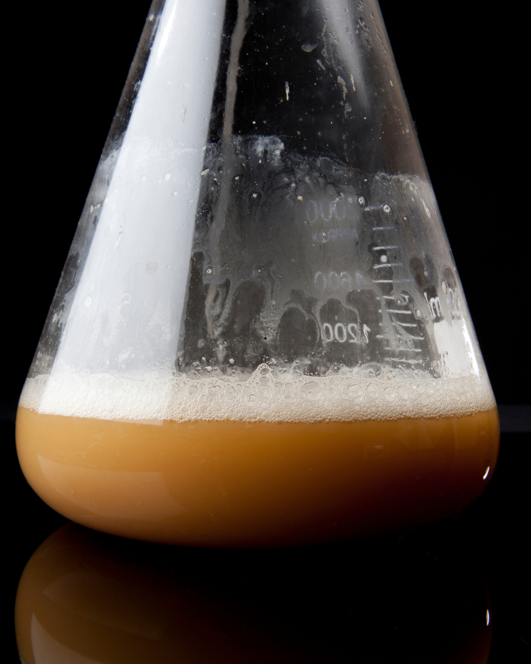 Homebrew Skills Tree - Week 8 - Yeast Health
