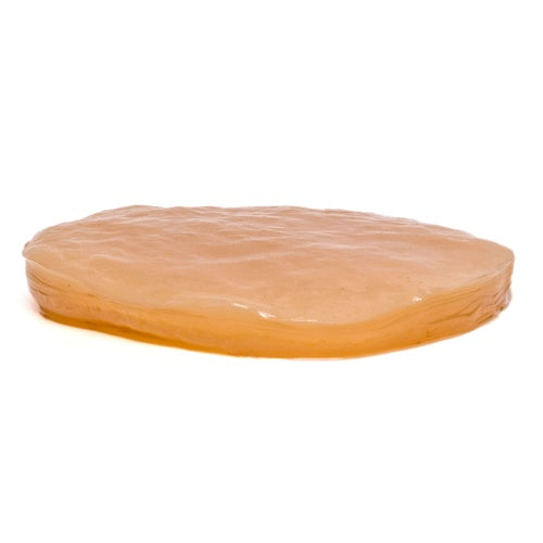 Fermentaholics Big Momma Kombucha SCOBY Starter Culture