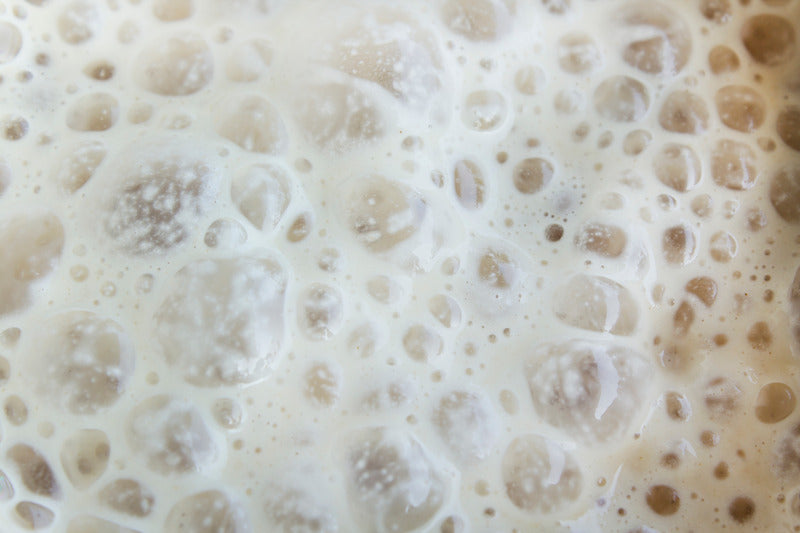 Exploring Fermentables