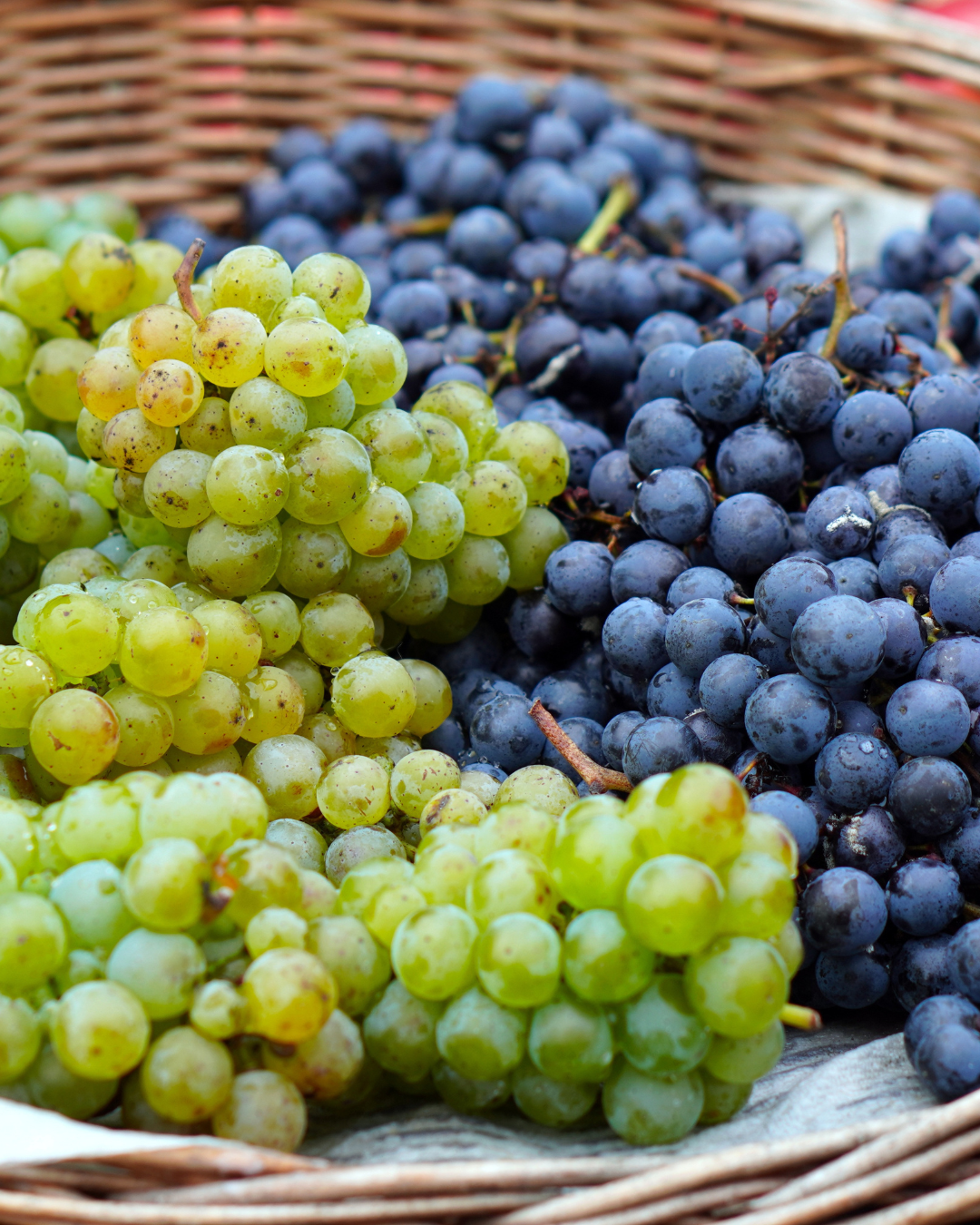 NTHBS Wine Must and Juice Shipment