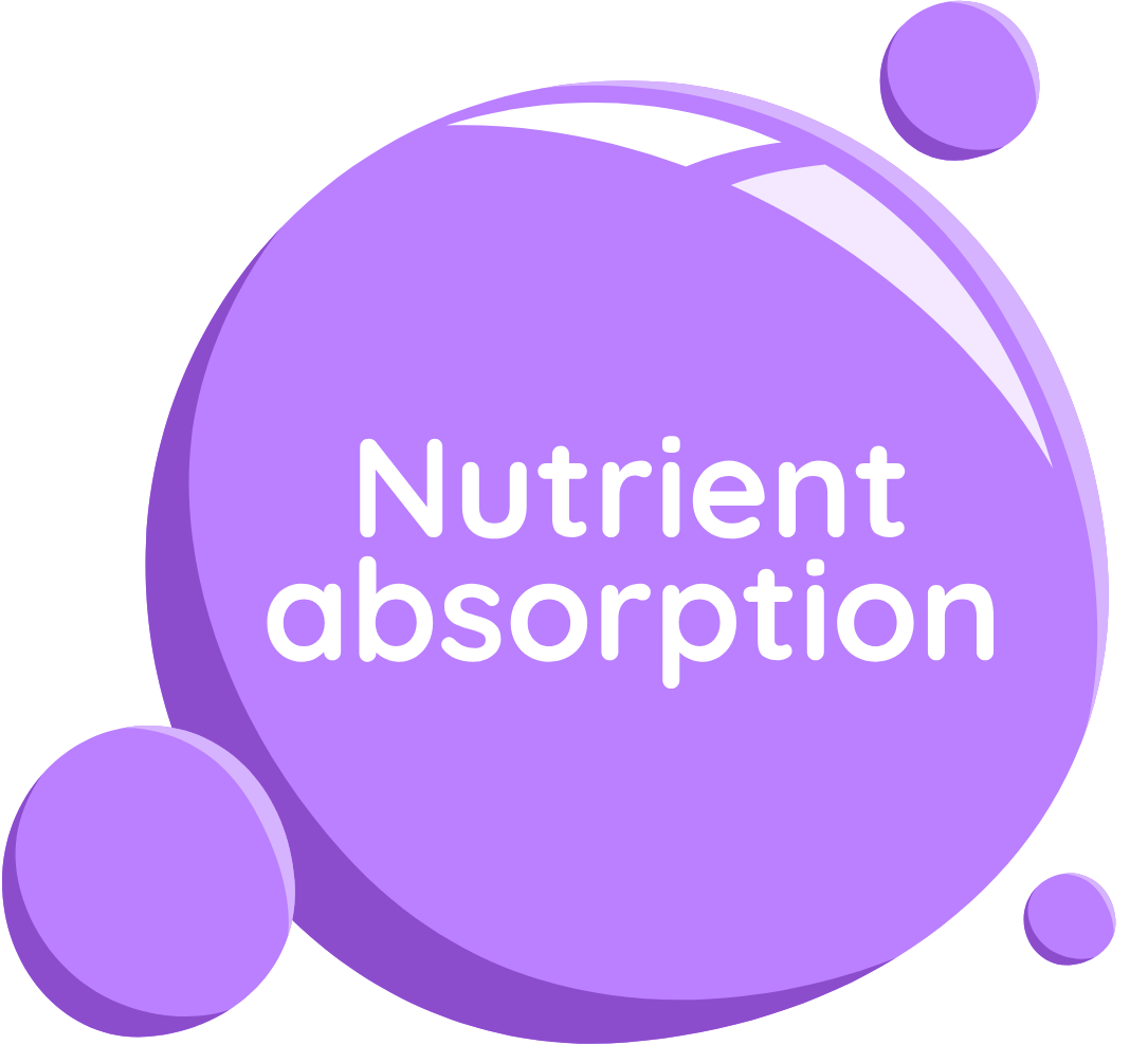 Homebrew Skills Tree - Week 16 - Staggering Nutrients: Feeding Yeast When It Needs It