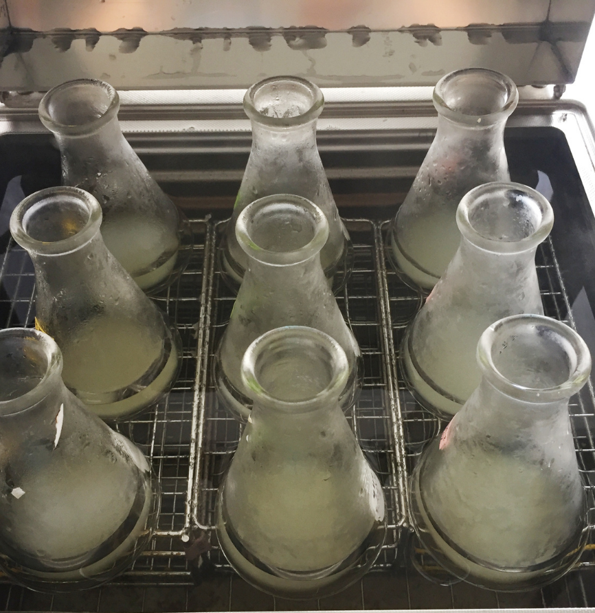Homebrew Skills Tree - Week 2 - Cleaning and Sanitizing
