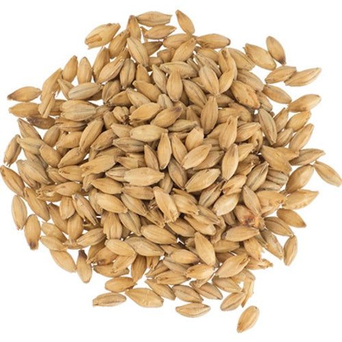 Bairds Maris Otter Pale Ale Malt