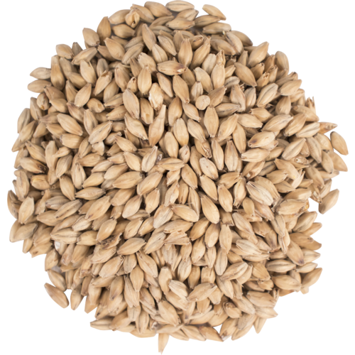 Simpsons Golden Promise Malt