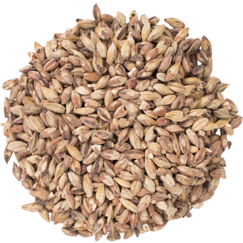 Briess Special Roast Malt