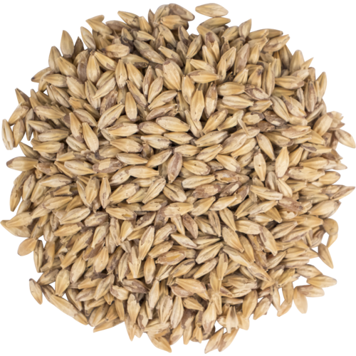 Briess Carabrown Malt
