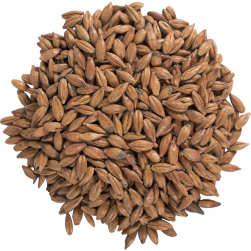Simpsons Export Brown Malt