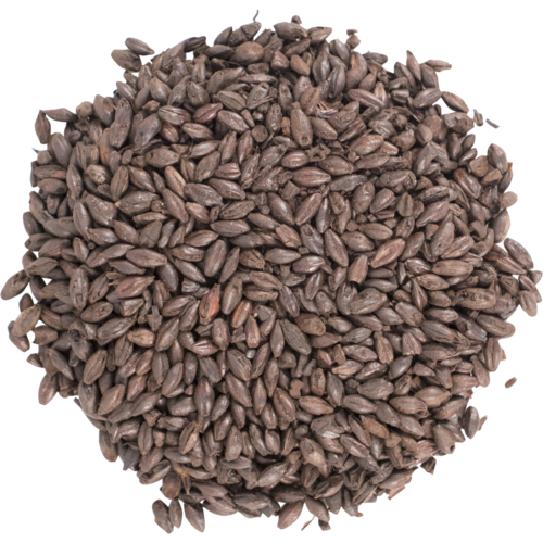 Briess Black (Patent) Malt