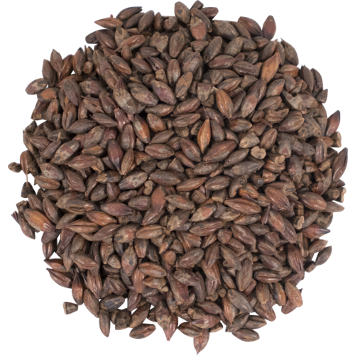 Briess Roasted Barley Malt