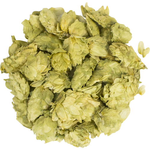 Citra Whole Cone Hops