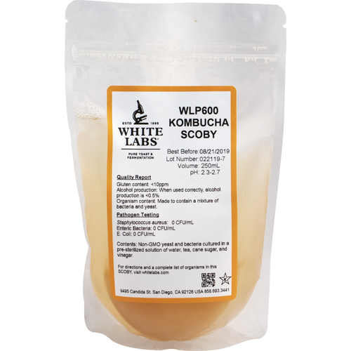 White Labs Yeast - Kombucha SCOBY