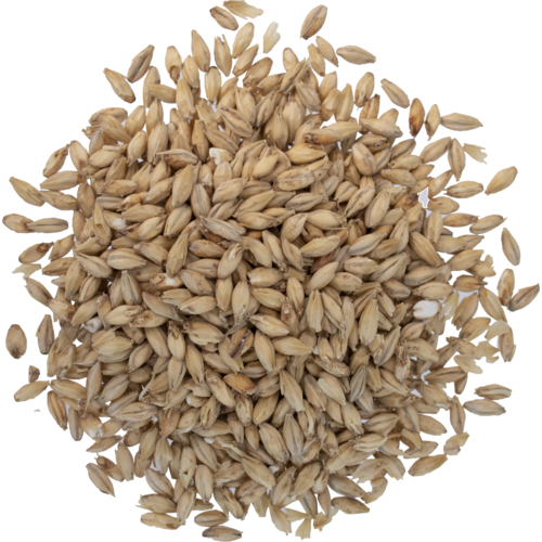 Briess Pale Ale Malt