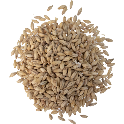 Weyermann German Pilsner Malt