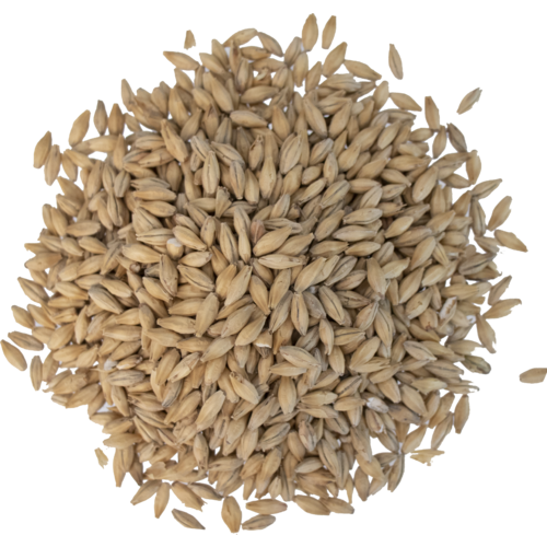 Dingemans Belgian Pilsner Malt