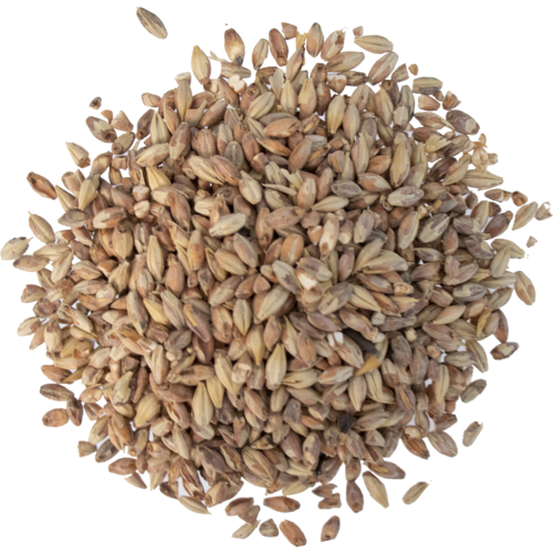 Briess Victory Malt