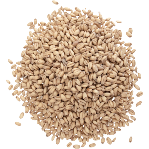 Weyermann Carahell Malt